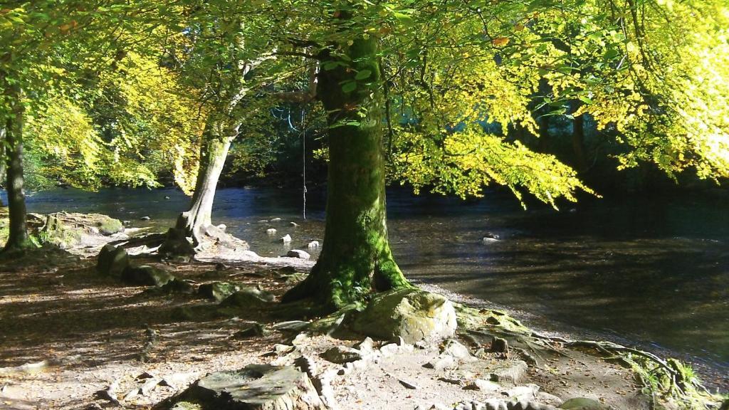 Bryn Bella Hotell Conwy Exteriör bild